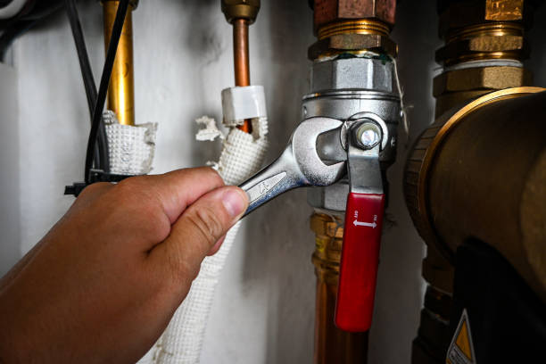 Best Drain Cleaning Services  in Darien, GA